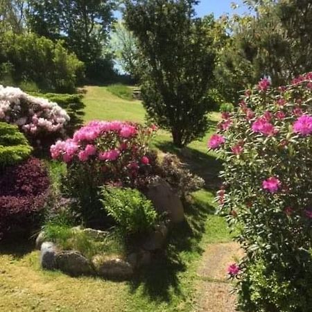 Bjergby Bed & Breakfast Bed & Breakfast Hjørring Екстериор снимка